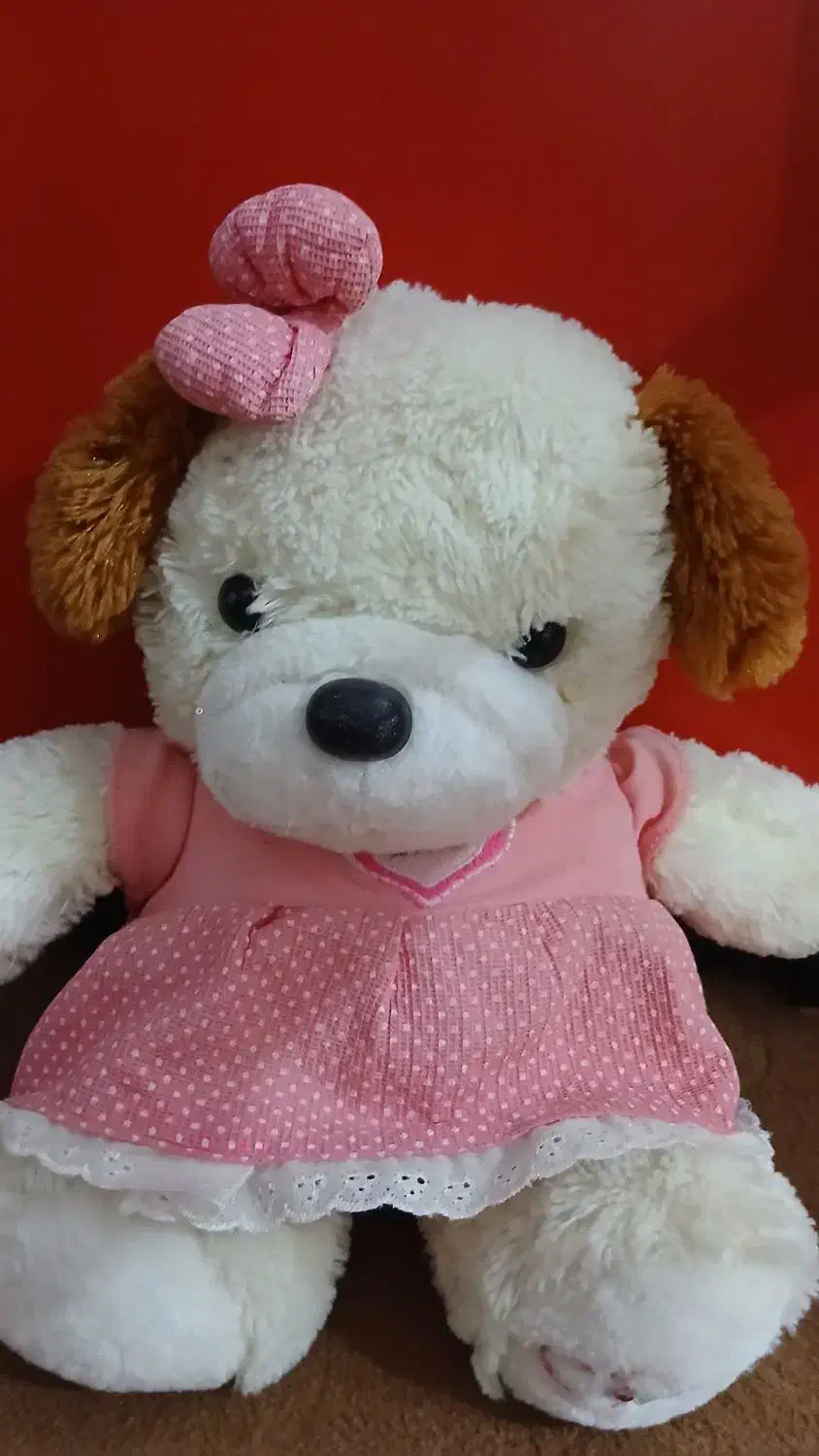 تعدادی عروسک|اسباب‌‌بازی|قم, هفت تیر|دیوار