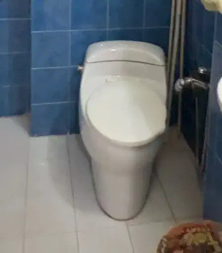 توالت فرنگی|لوازم سرویس بهداشتی|شیراز, سینما سعدی|دیوار