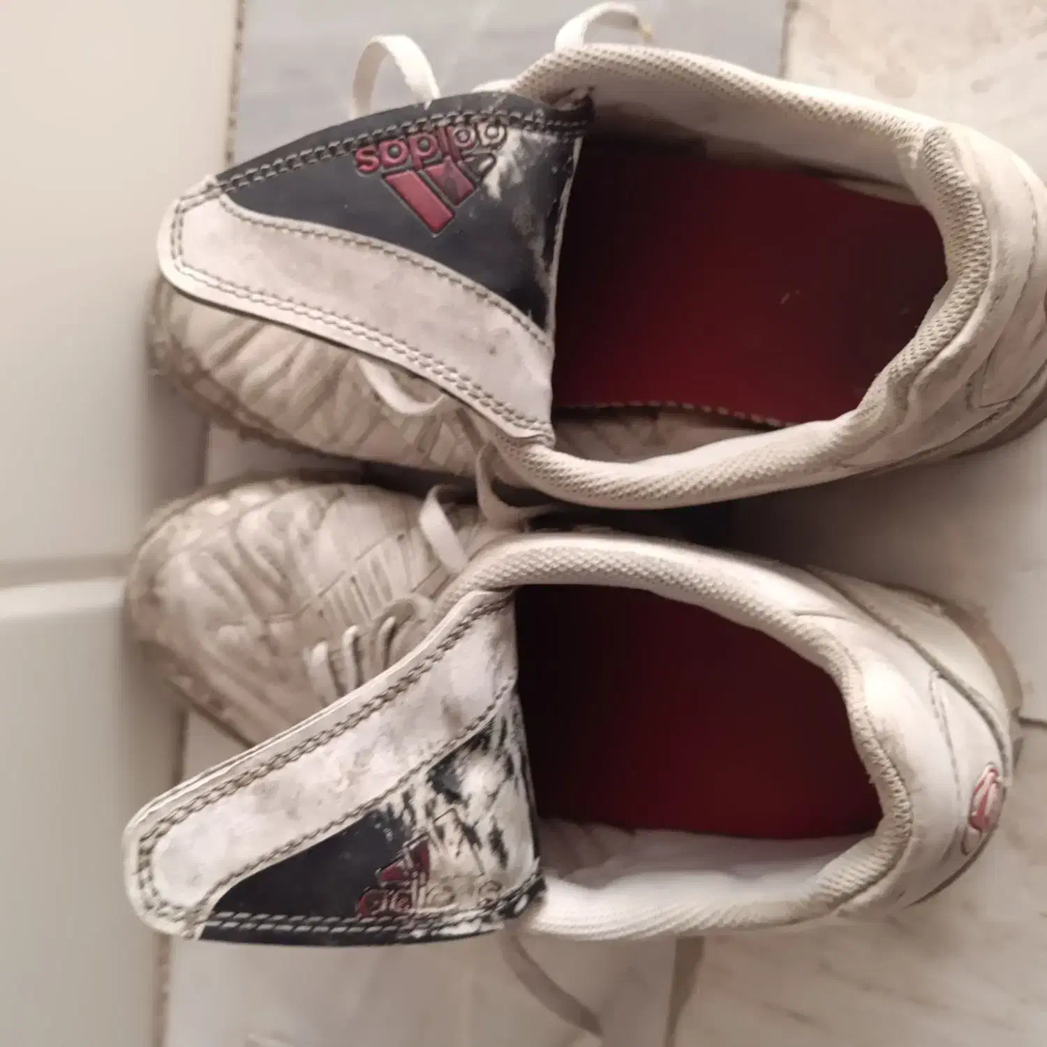 کفش سالنی سایز ۴۲|کیف، کفش، کمربند|قم, حقیقت|دیوار