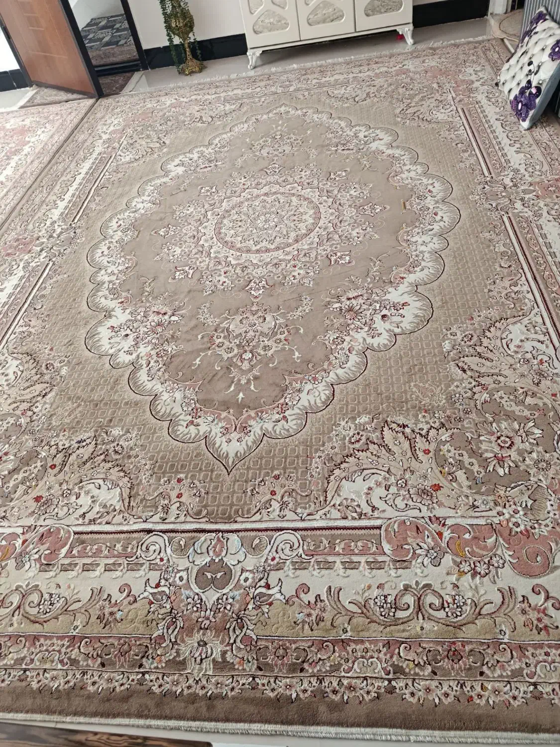 فرش گردویی ۱۲ متری|فرش|نورآباد, |دیوار