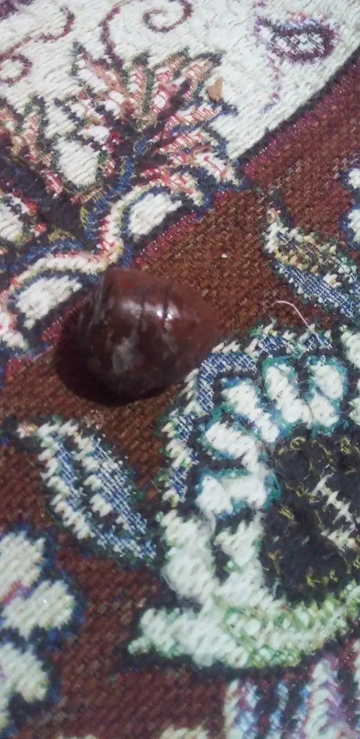 سنگ قیمت|جواهرات|زاهدان, |دیوار