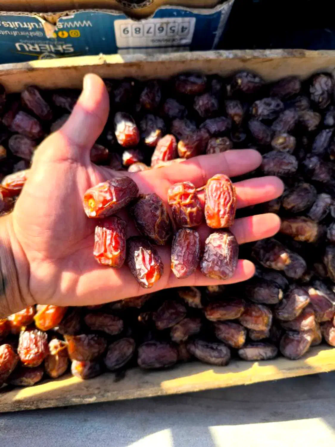 خرما بریم لوکس آلوچه و آدامسی|خوردنی و آشامیدنی|رشت, کوی فرهنگیان|دیوار