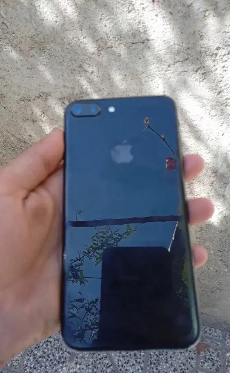 iPhone 7plus|موبایل|کلاله, |دیوار