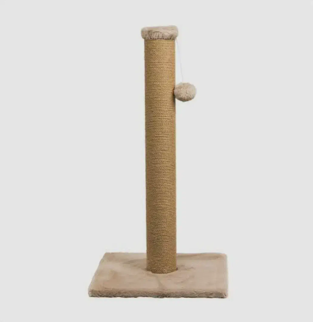 اسکرچر گربه عمده و تک|لوازم جانبی حیوانات|رشت, گلباغ نماز|دیوار