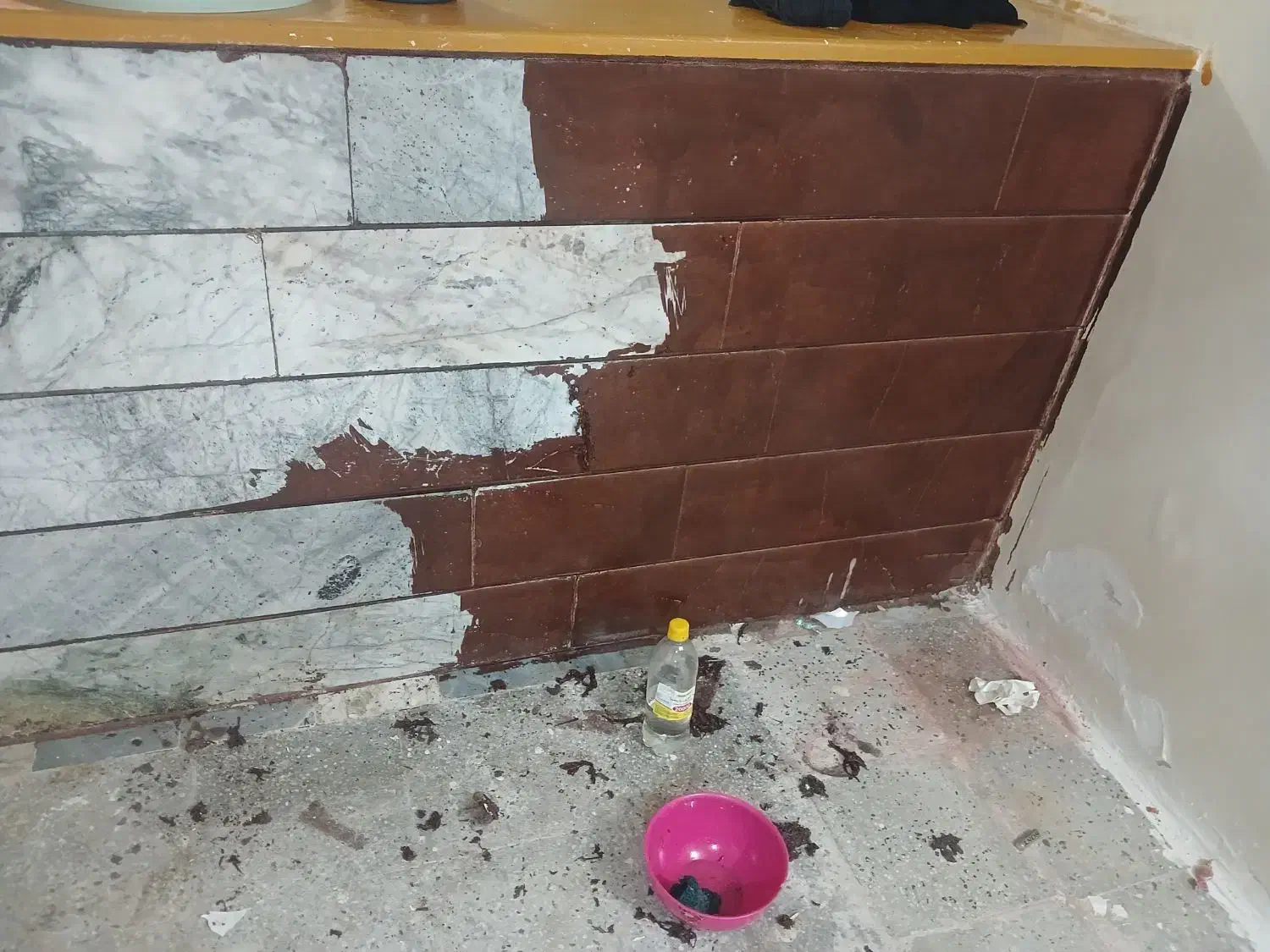 نظافت منزل و ساختمان|خدمات نظافت|بیرجند, |دیوار