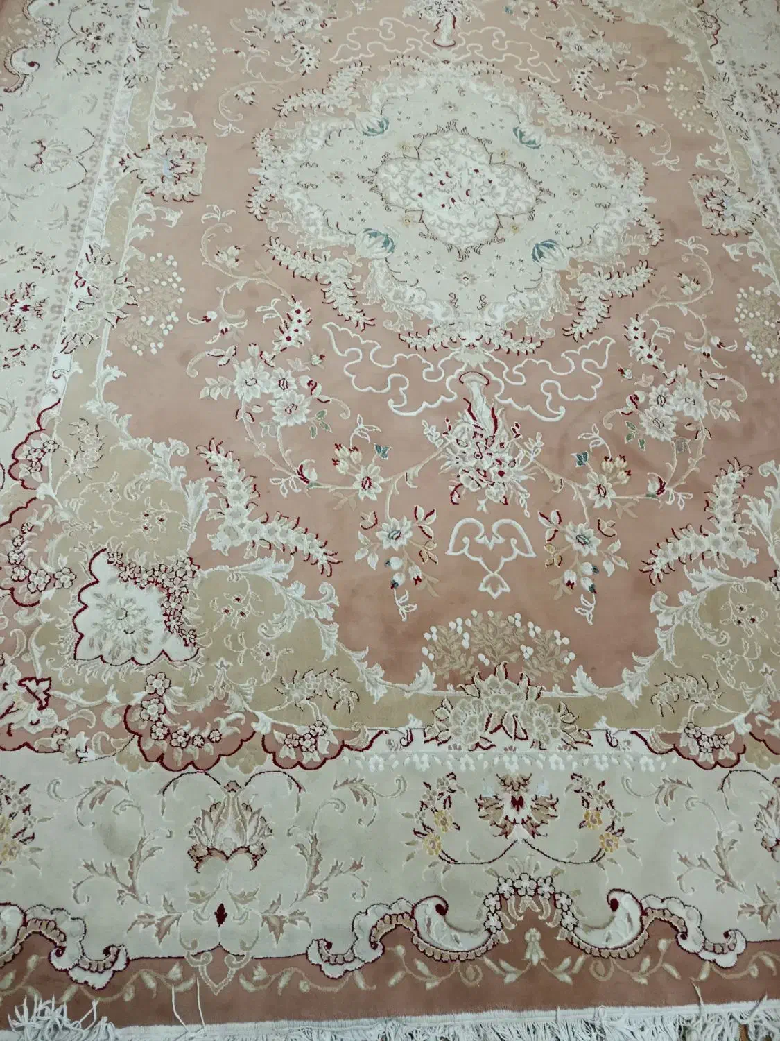 فرش|فرش|قم, نخودی|دیوار