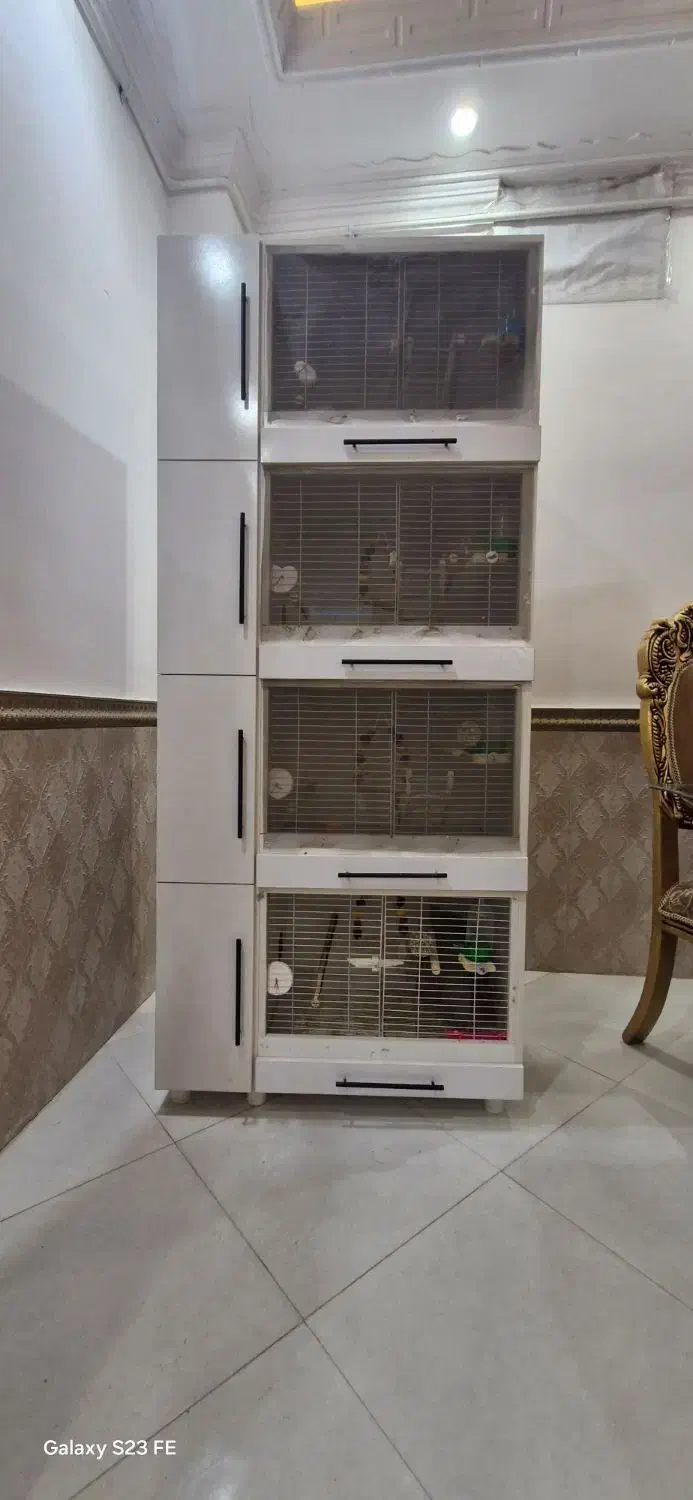 قفس mdf چهار طبقه برای نگهداری انواع پرنده|لوازم جانبی حیوانات|رفسنجان, |دیوار