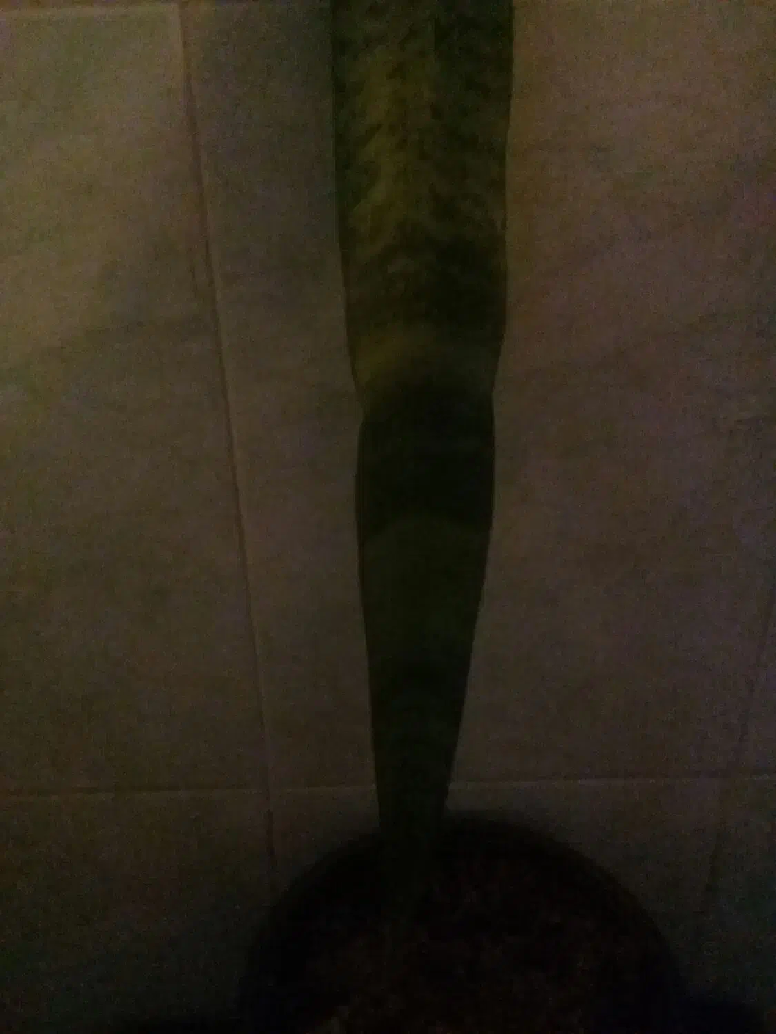 راهنمایی|فعالیت داوطلبانه|جیرفت, |دیوار