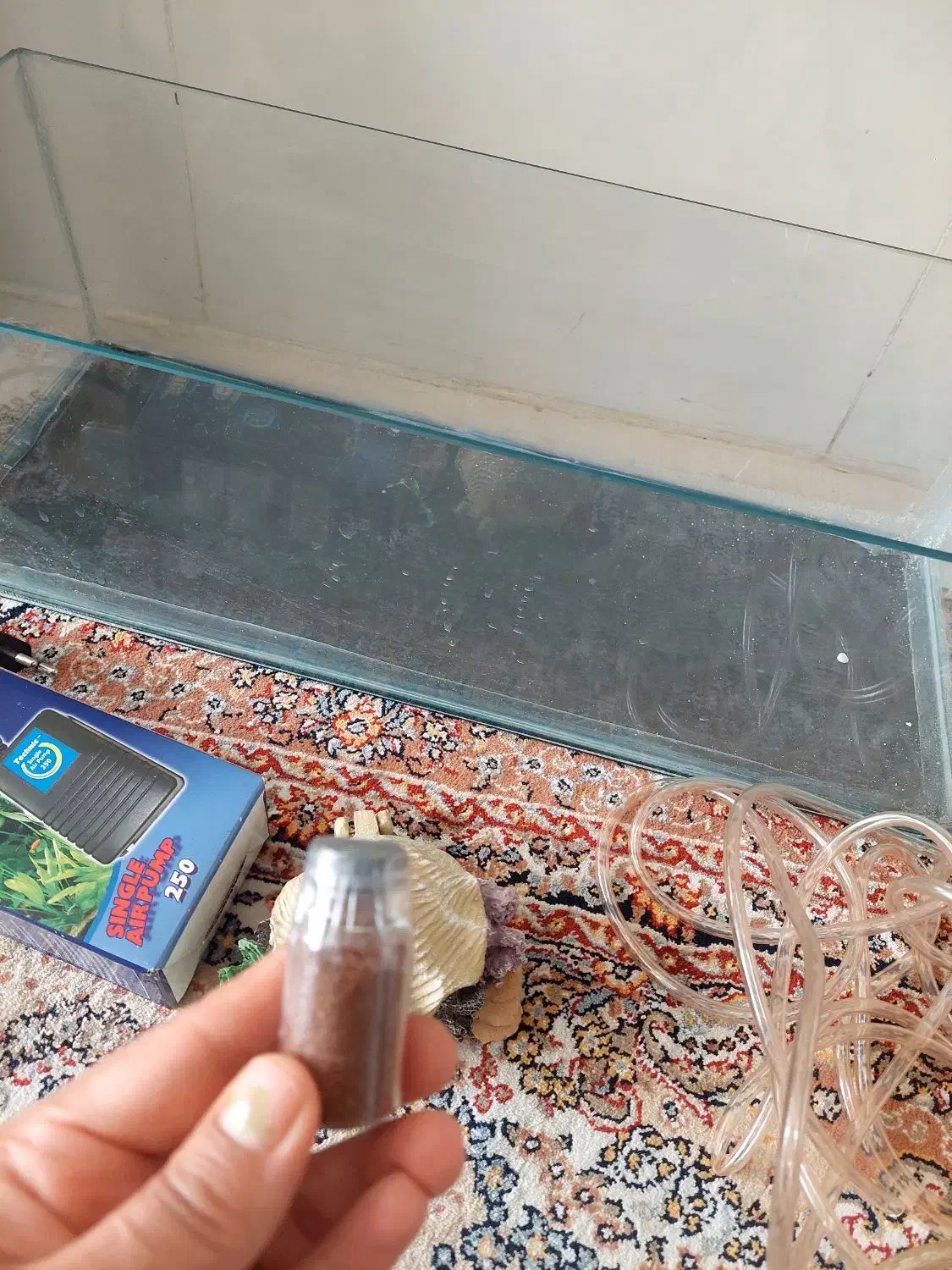 آکواریوم شیشه خم شرکتی با همه وسایلش|ماهی|نسیمشهر, |دیوار