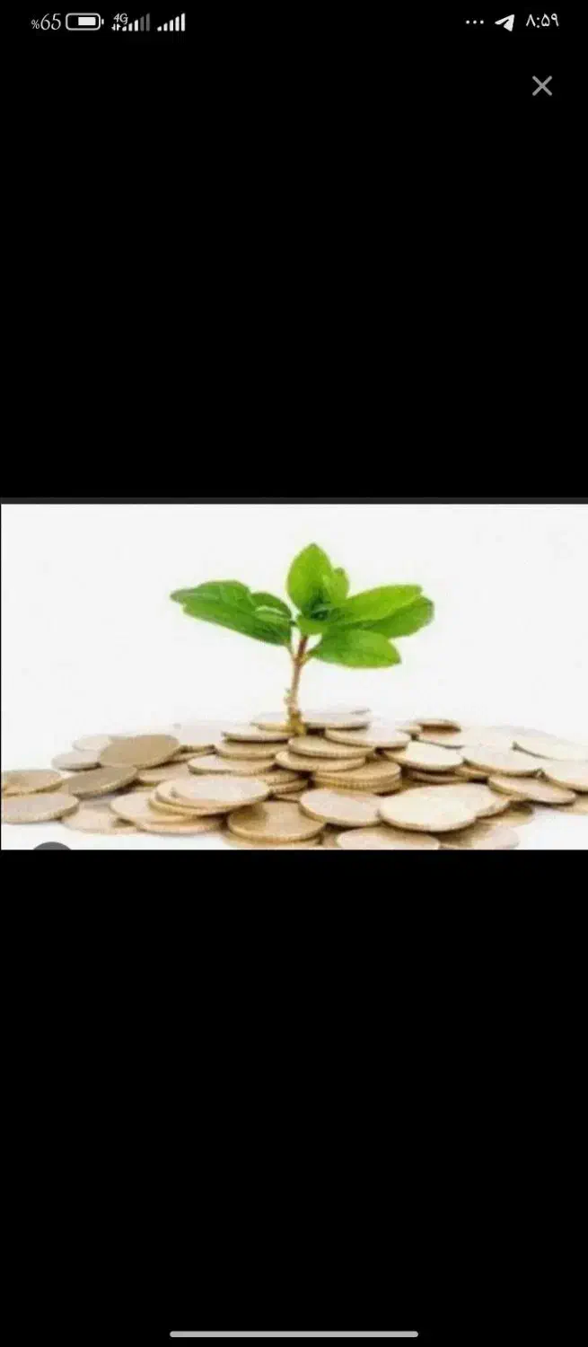 راهنمایی|فعالیت داوطلبانه|درمیان, |دیوار