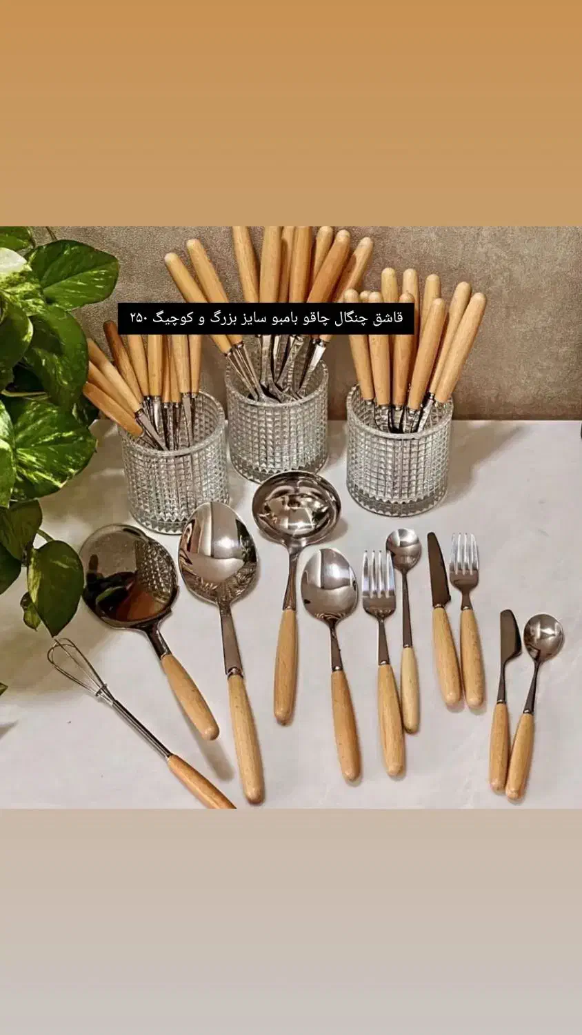 قاشق و چنگال بامبو|ظروف سرو و پذیرایی|دوگنبدان, |دیوار