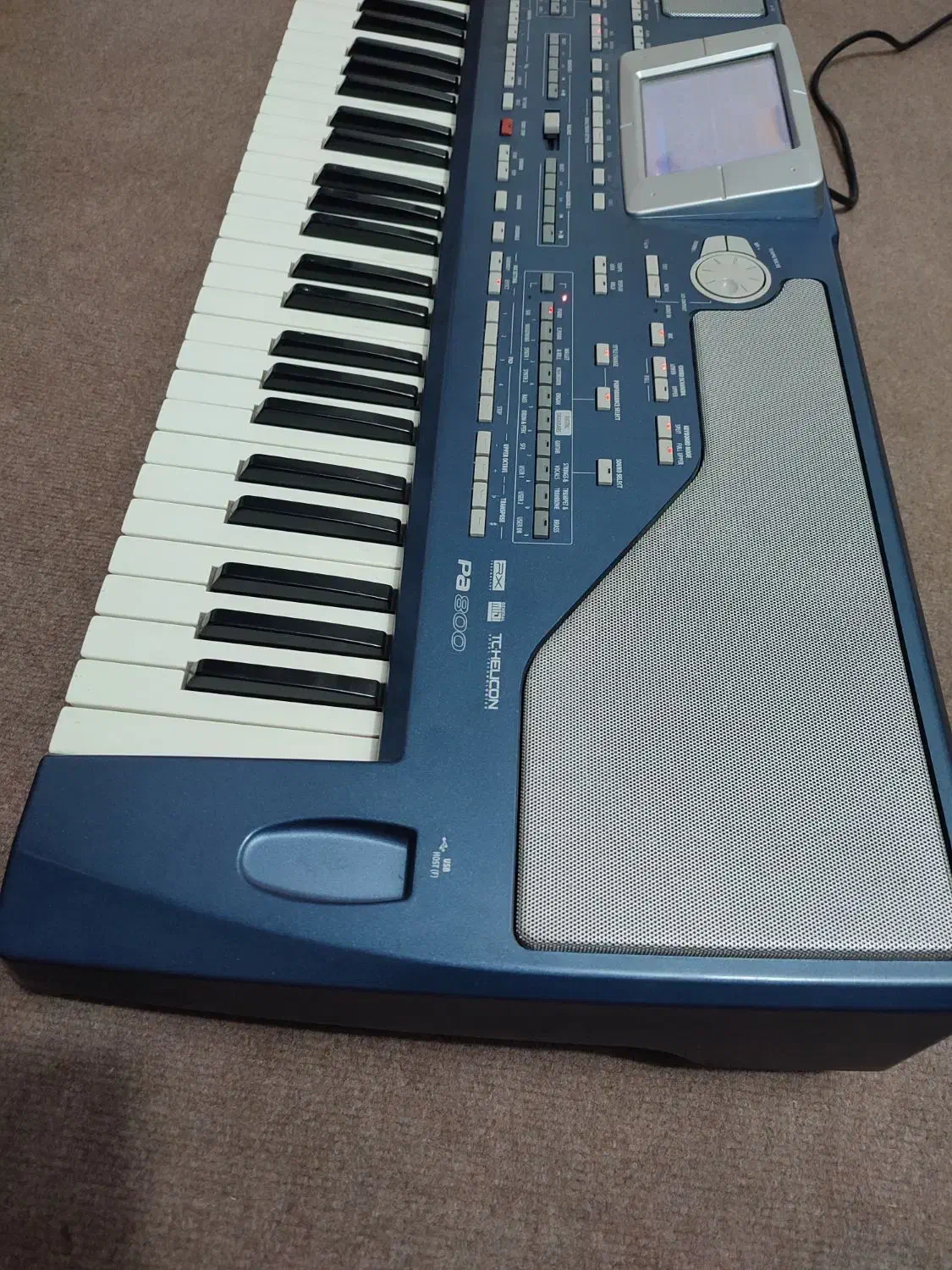 ارگPa800|پیانو، کیبورد، آکاردئون|اصفهان, باغ نگاره|دیوار