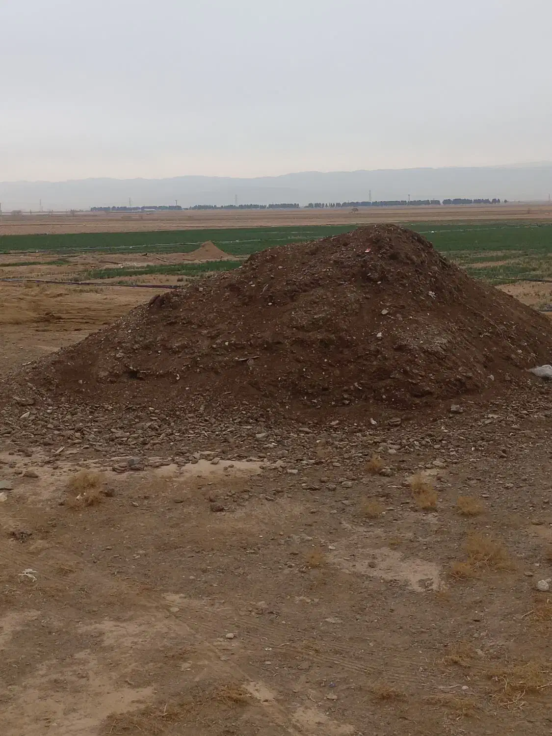 بار گاویی  وبار گوسفندی. خشک|خدمات باغبانی و درختکاری|چناران, |دیوار