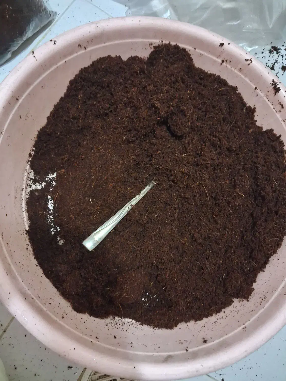 خاک بستر حلزون|خزنده|تهران, بلوار کشاورز|دیوار