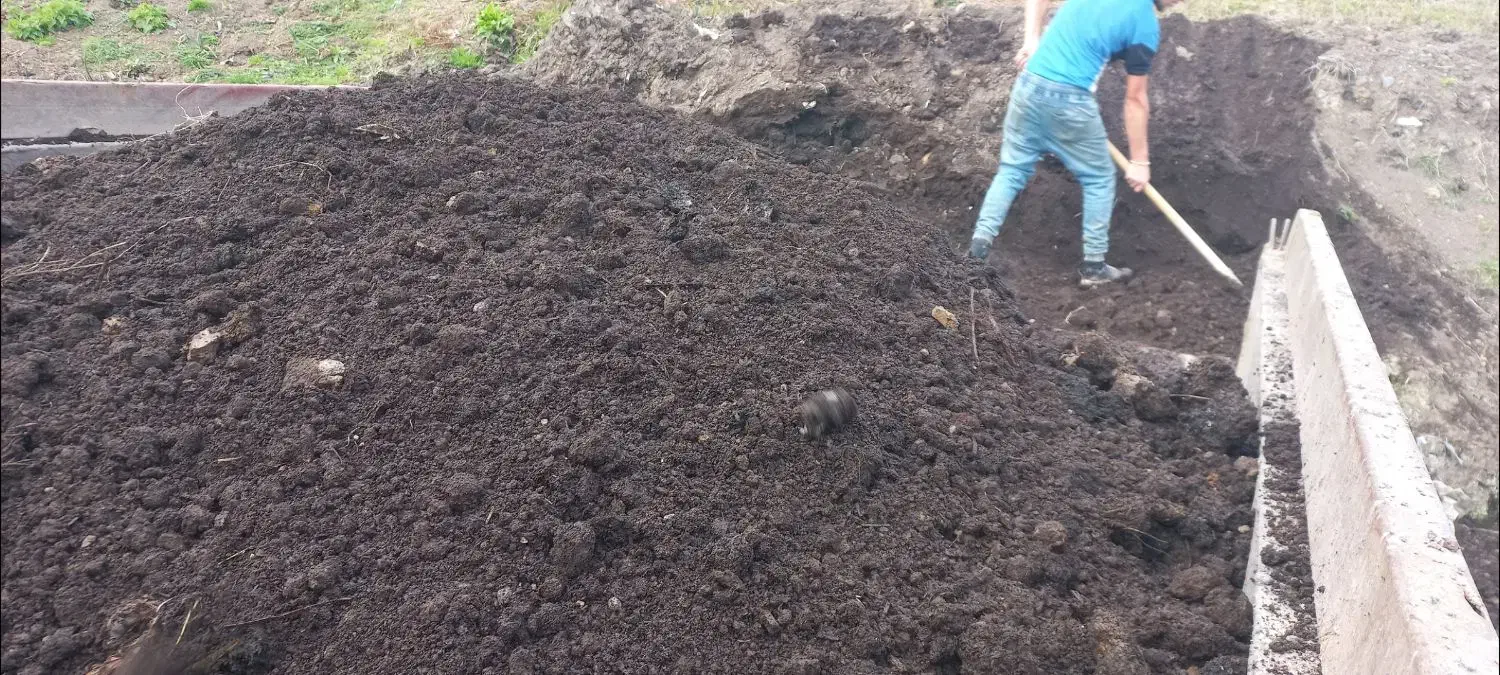 فروش خاک کمپوست اماده|خدمات باغبانی و درختکاری|فومن, |دیوار