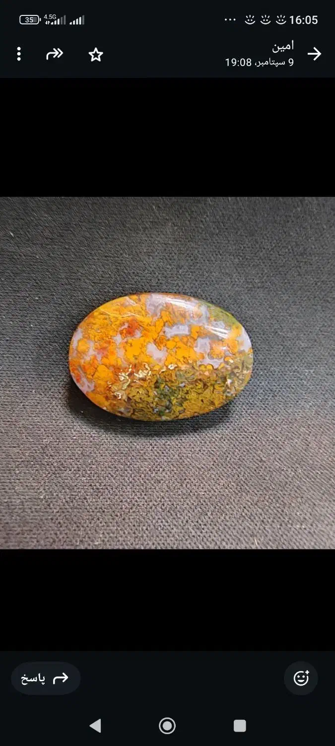 فروش نگین شجر زیبا|بدلیجات|بوشهر, |دیوار