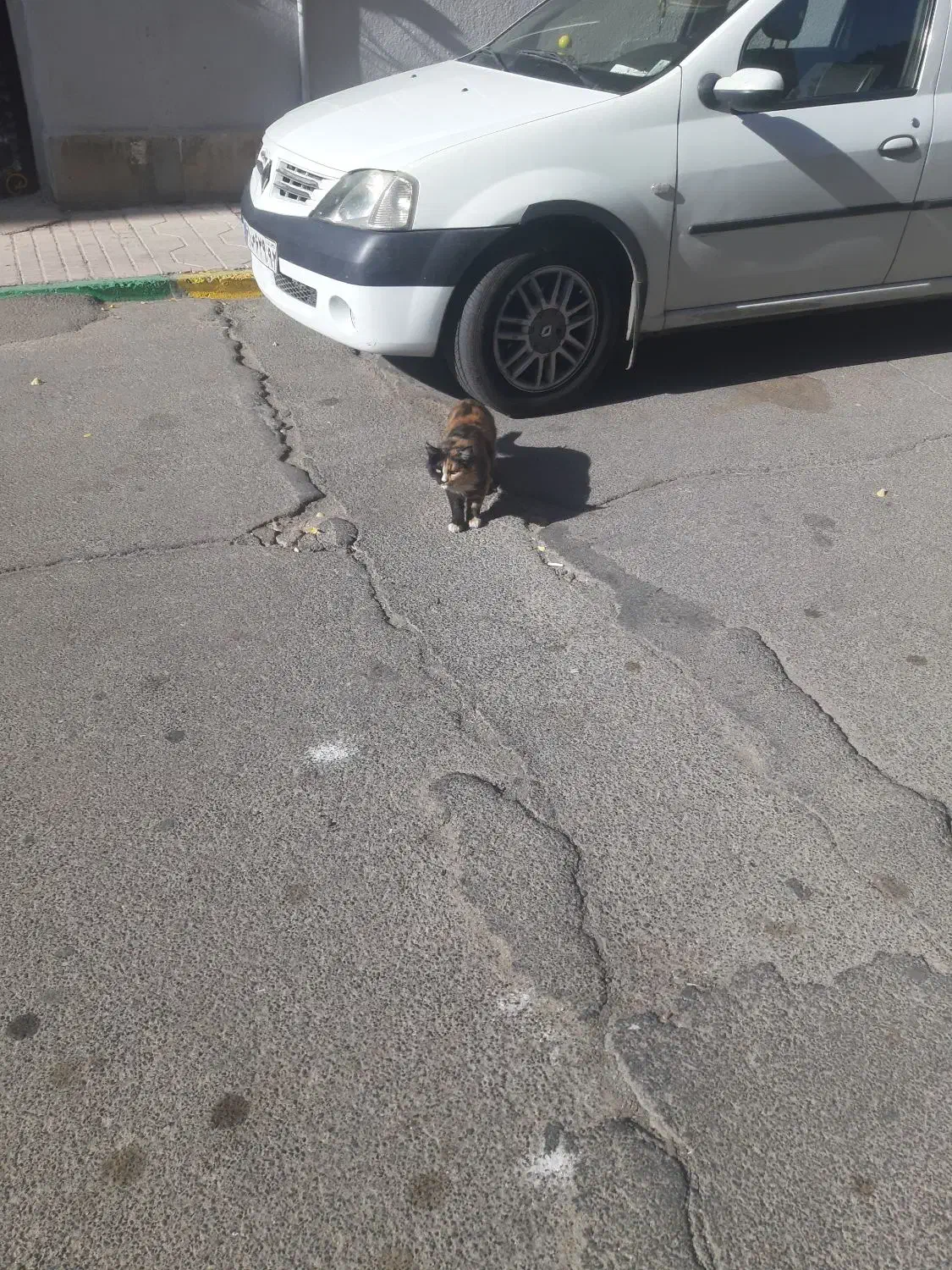 سمند سورن مدل ۱۴۰۴|خودرو سواری و وانت|خوش‌رودپی, |دیوار