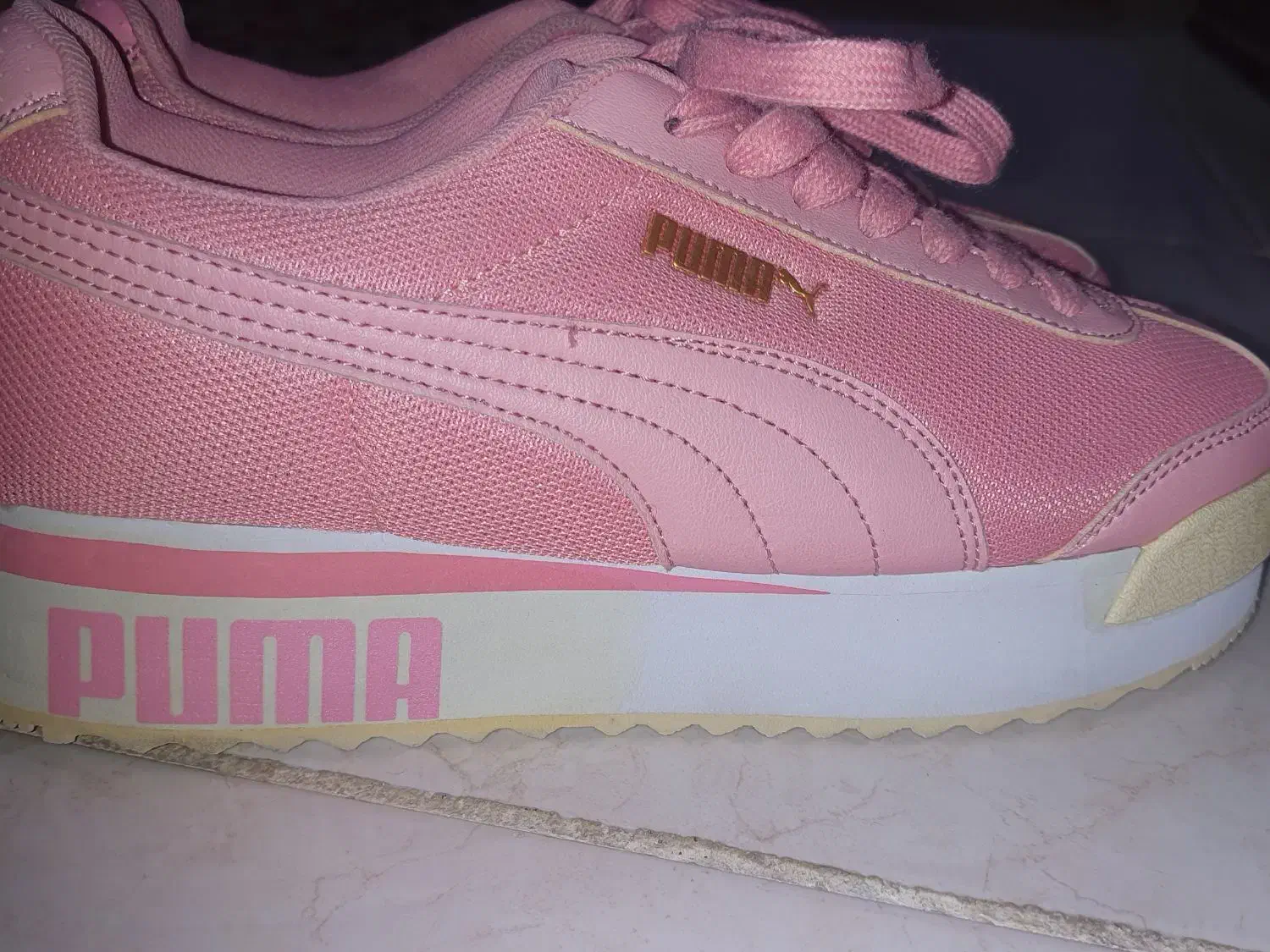 کفش|کیف، کفش، کمربند|فردیس, نگارستان|دیوار