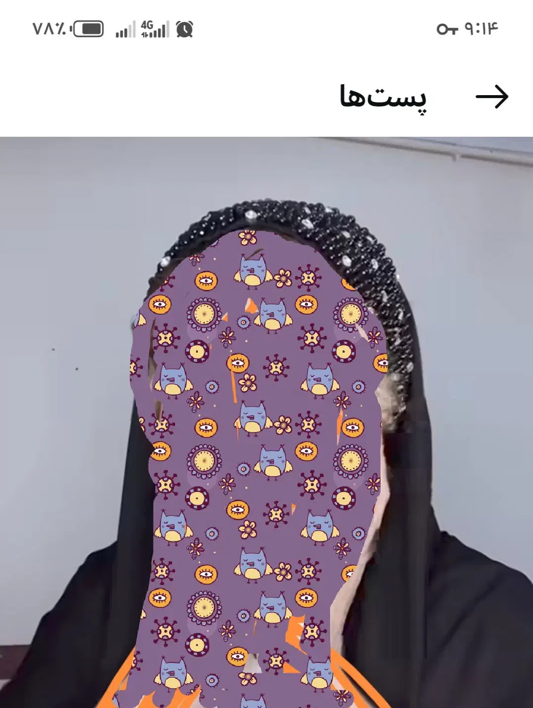 شال|لباس|بم, |دیوار