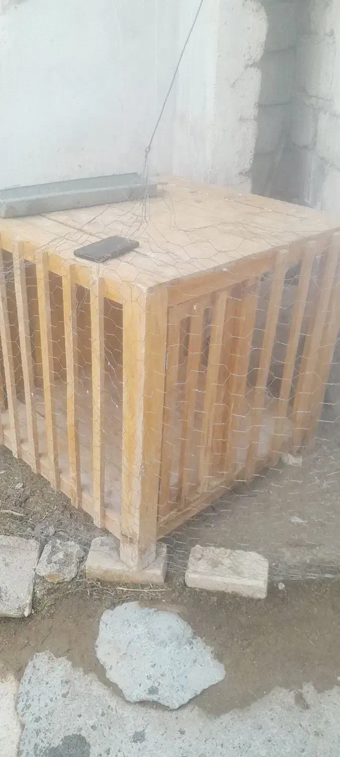 قفس خروس|لوازم جانبی حیوانات|بیستون, |دیوار