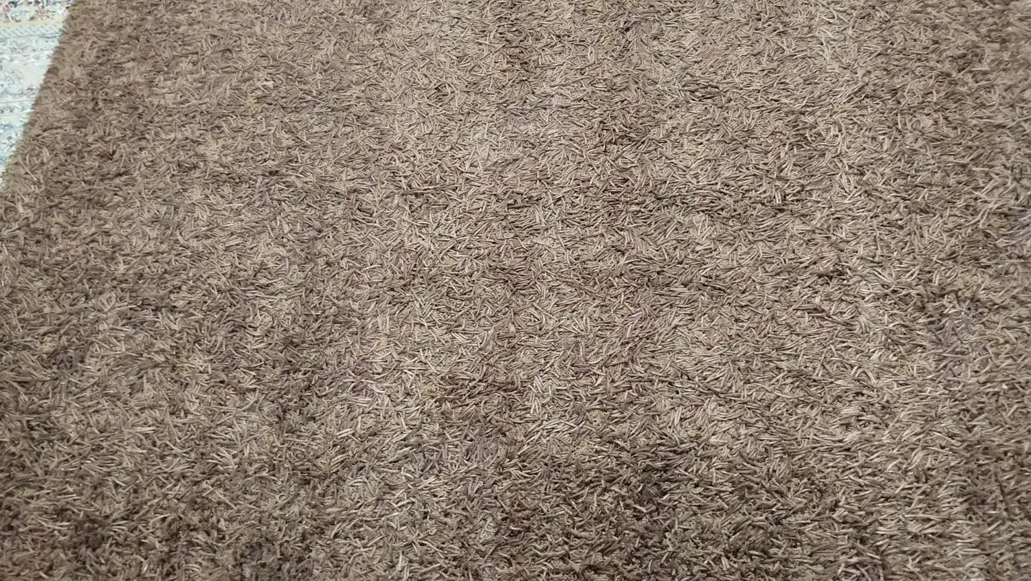 گلیم فرش 2/3|گلیم، جاجیم، گبه|سقز, |دیوار