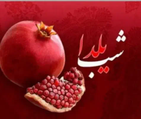 جشن یدای شیرازی ( تالار حافظ) همایون تور|بلیت کنسرت|شیراز, گود خزینه|دیوار