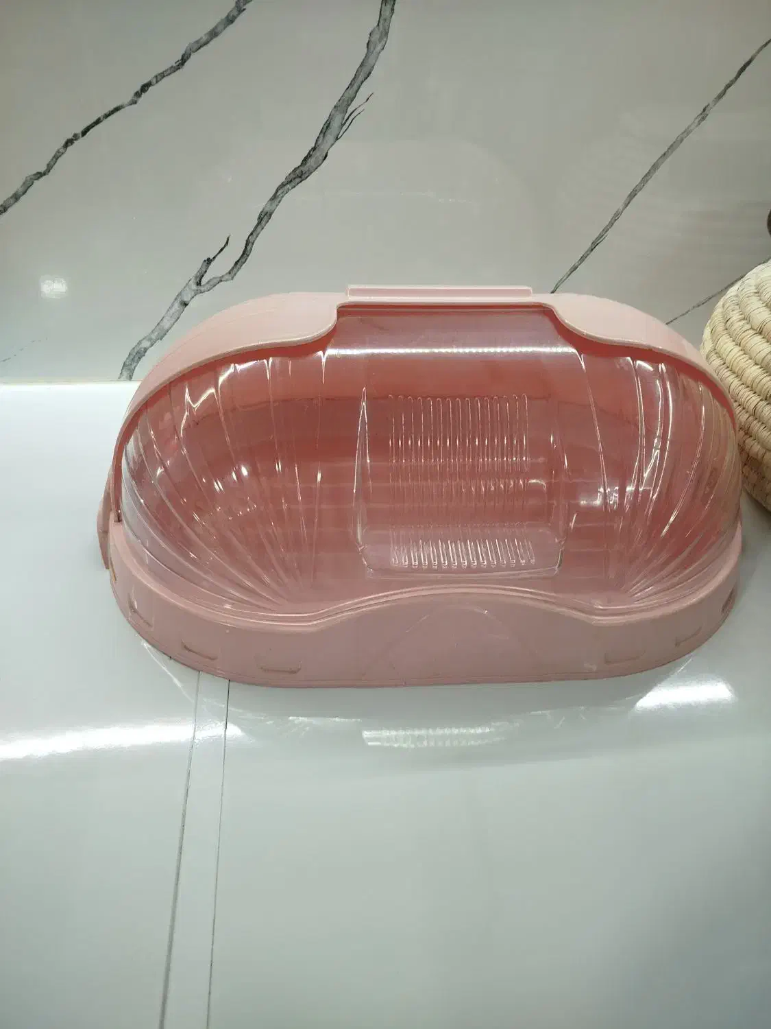 جانونی|ظروف نگهدارنده، پلاستیکی، یک‌بارمصرف|دهلران, |دیوار