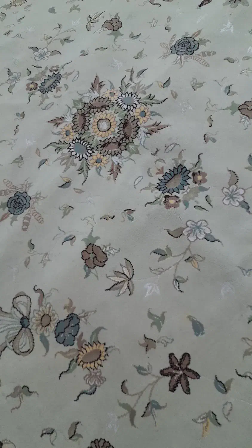 انواع فرش دراندازه های مختلف درحدنووکارکرده|فرش|اسفراین, |دیوار