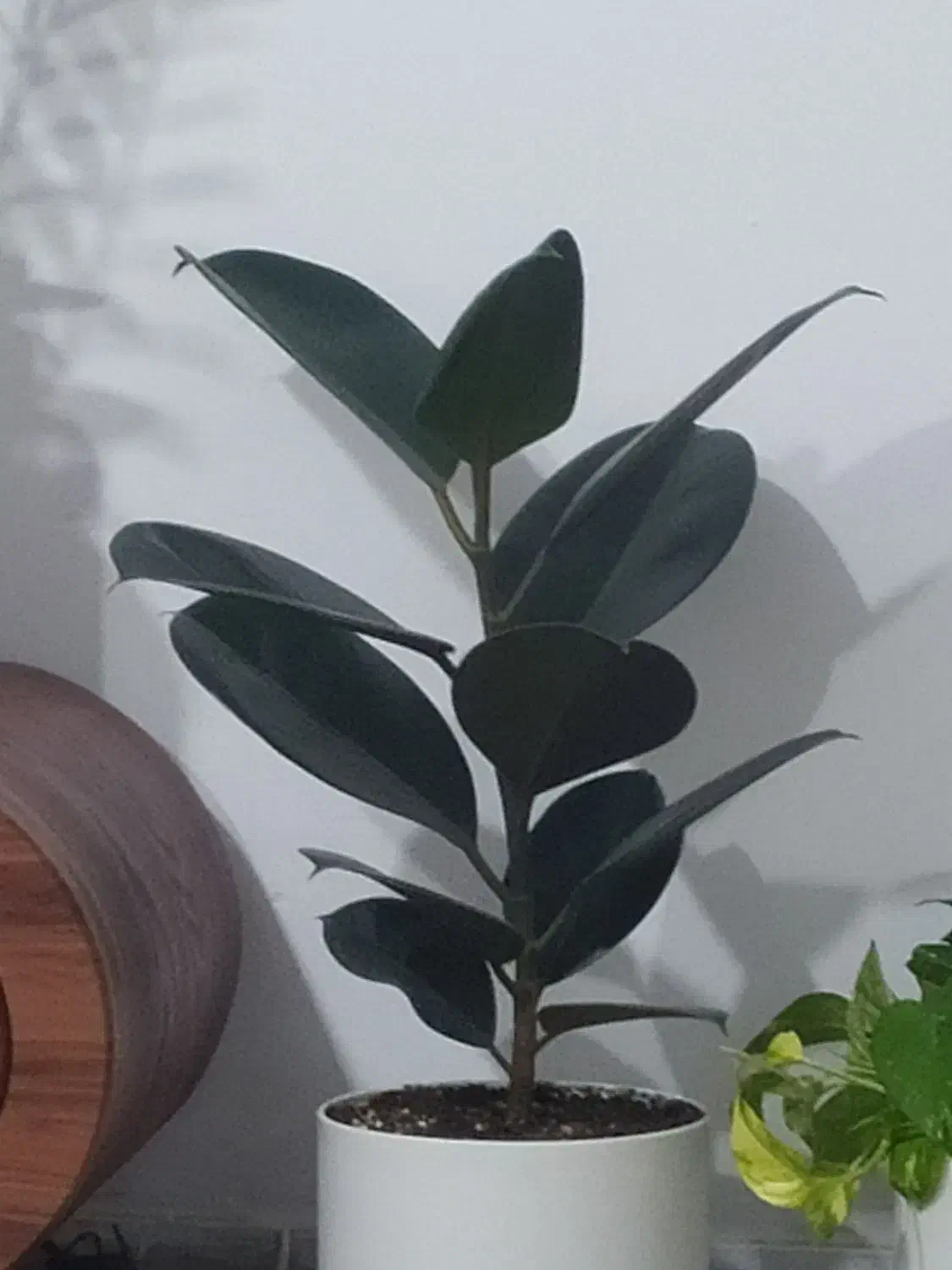 مبدا کرمانشاه مقصد آبدانان|خدمات حمل و نقل|آبدانان, |دیوار