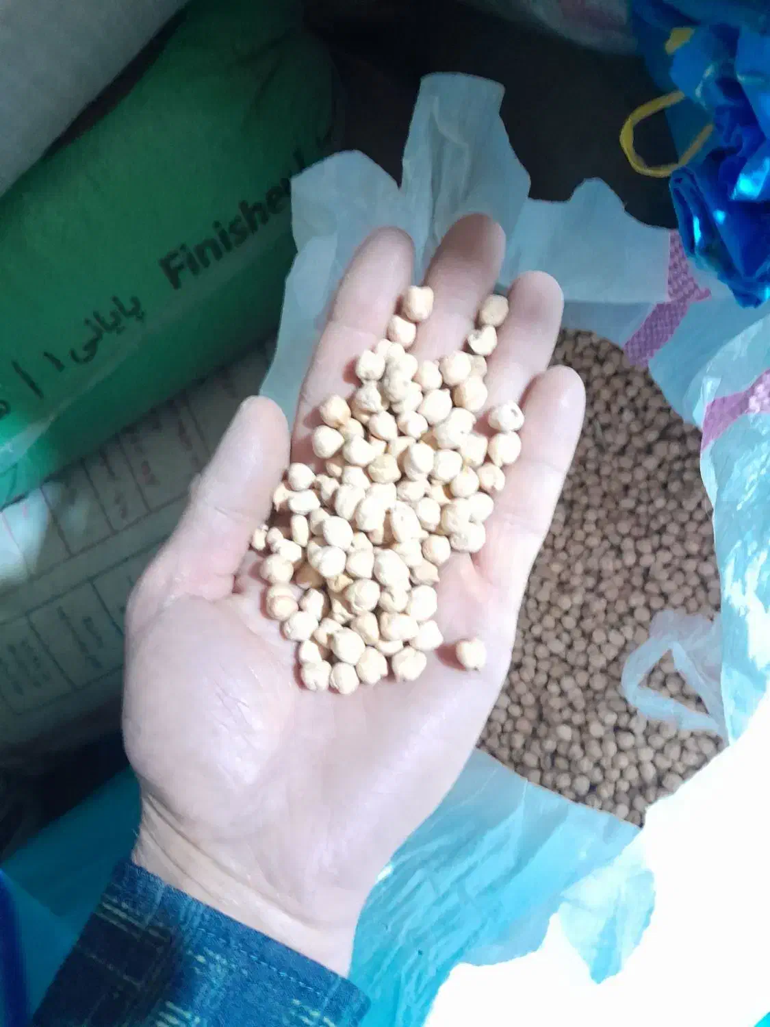 نخود و عدس|خوردنی و آشامیدنی|بزینه رود, |دیوار