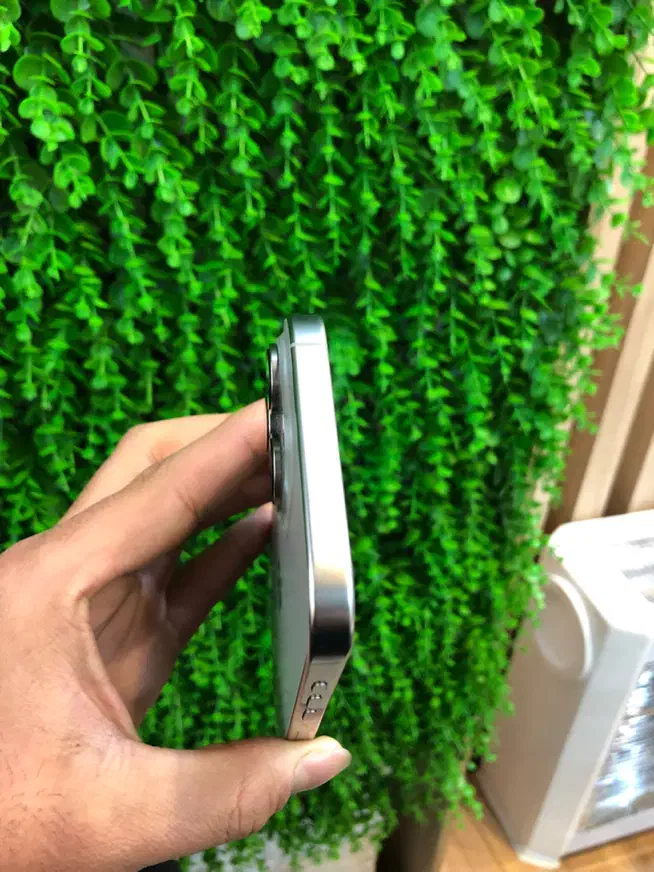 16Promax 256|موبایل|زنجان, |دیوار