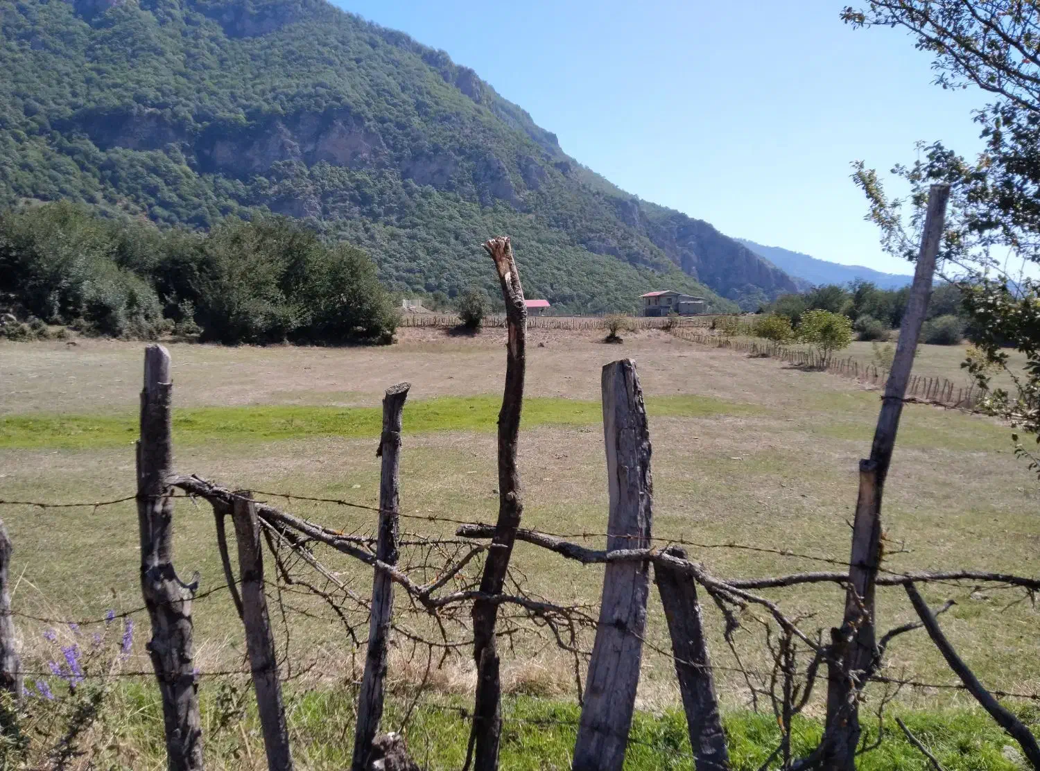 زمین|فروش زمین و ملک کلنگی|تالش, تالش|دیوار