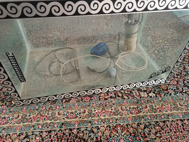 آکواریوم با وسیله|ماهی|رفسنجان, |دیوار