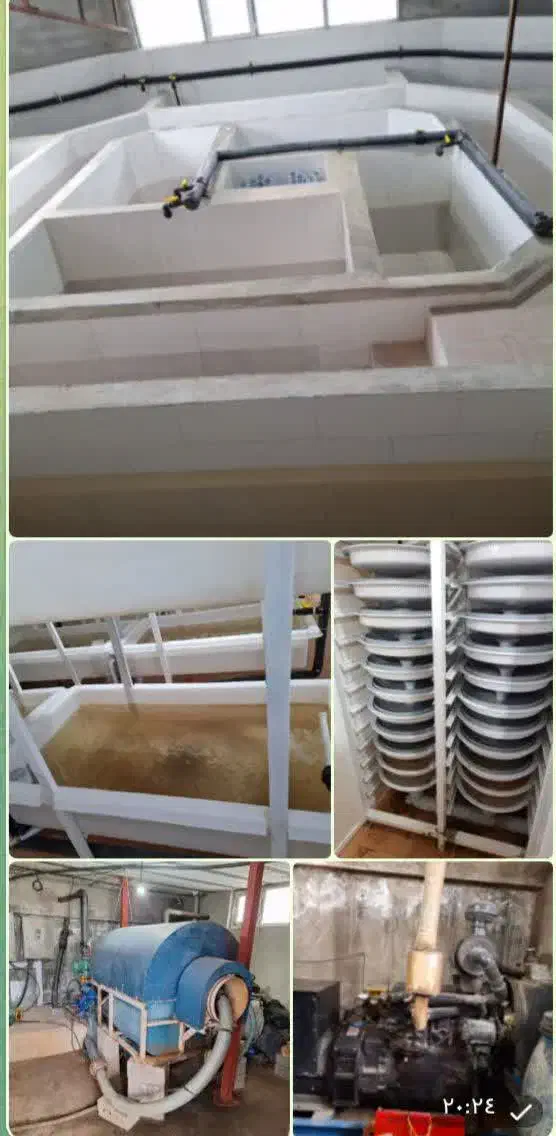 مزایده و فروش مزرعه پرورش بچه ماهی حد واسط|فروش دفتر صنعتی، کشاورزی، تجاری|کوراییم, |دیوار