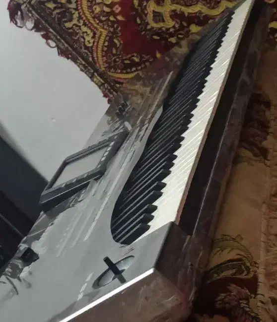 برنامه کوردی2025 مخصوص pa3x|پیانو، کیبورد، آکاردئون|سقز, |دیوار