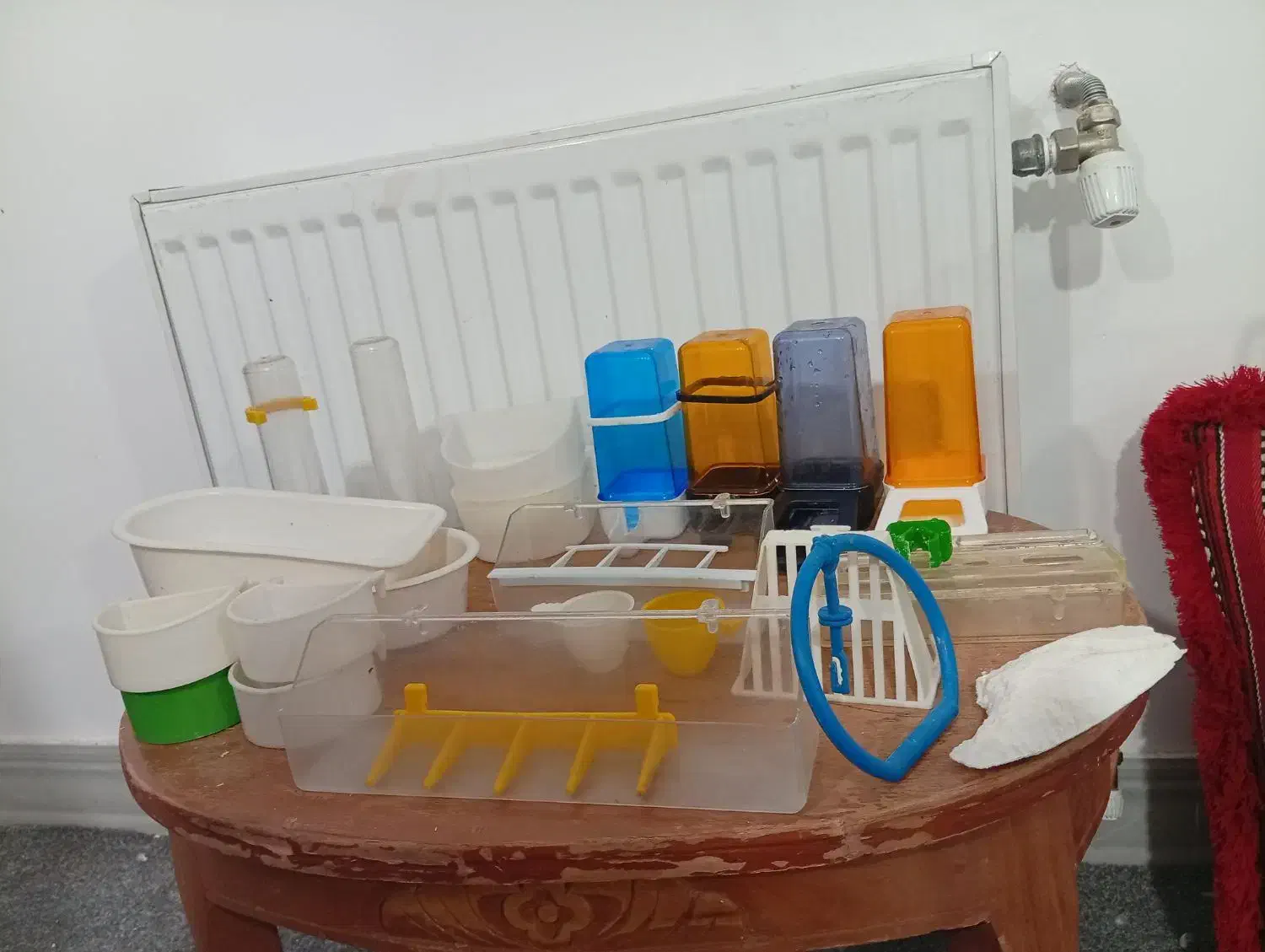 قفس و وسایل اضافی|پرنده|شیراز, شهرک کوثر|دیوار