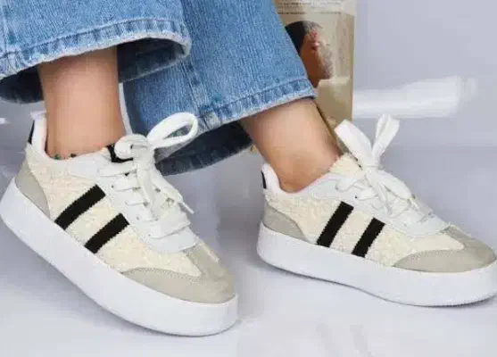 کفش تدی پاییزه|کیف، کفش، کمربند|یاسوج, |دیوار