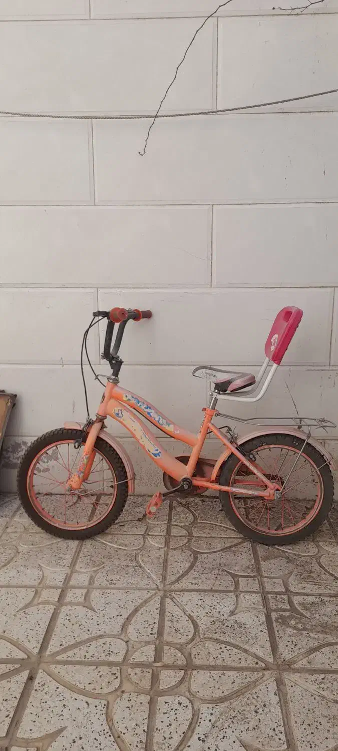 دوچرخه|دوچرخه، اسکیت، اسکوتر|نیشابور, گنبد سبز|دیوار