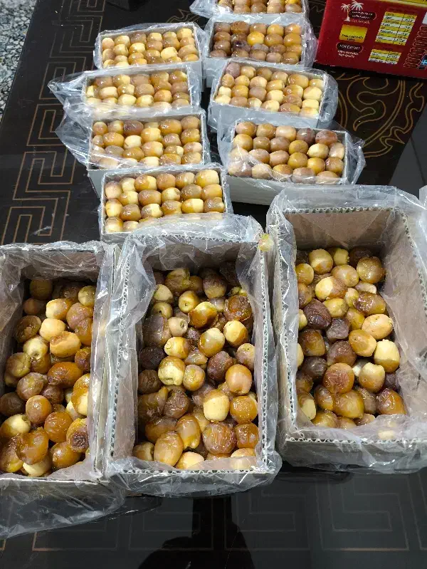 خرما زرد عسلی (بزمانی)|خوردنی و آشامیدنی|کرمان, |دیوار