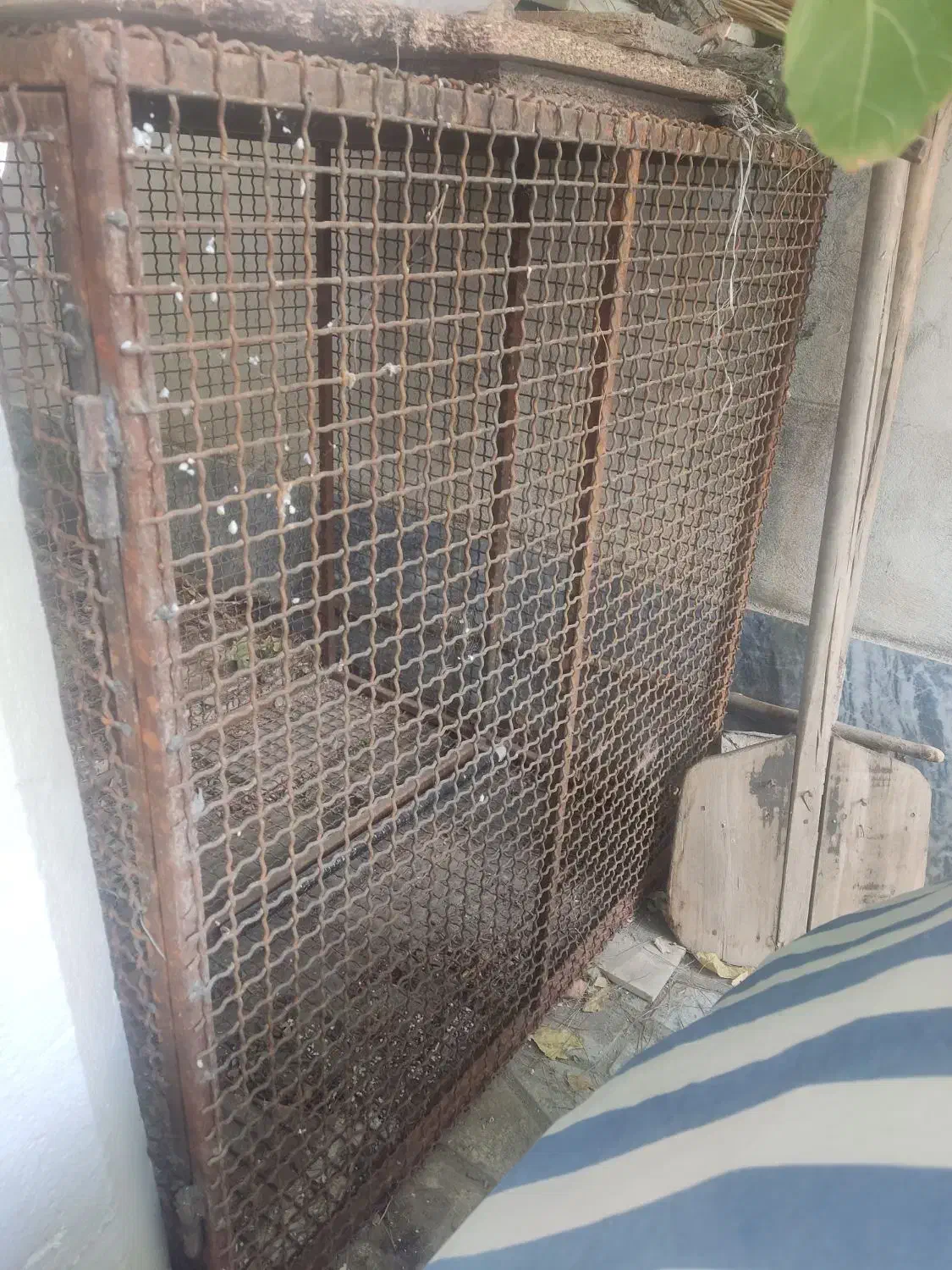 لانه کبوتر یاحیوانات|لوازم جانبی حیوانات|بروجرد, |دیوار