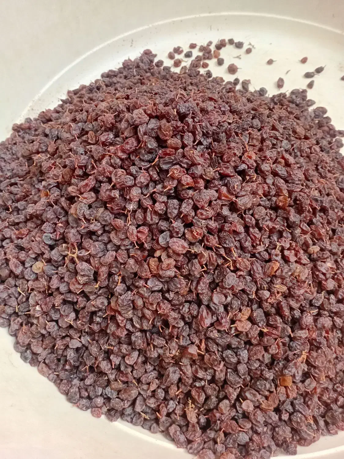 فروش کشمش بی دانه|خوردنی و آشامیدنی|تاکستان, |دیوار