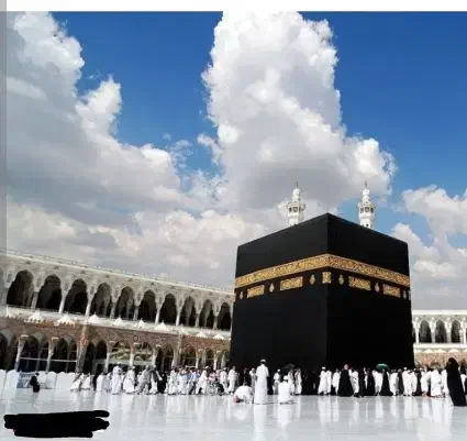 فیش مکه|تور و چارتر|علی‌آباد کتول, |دیوار