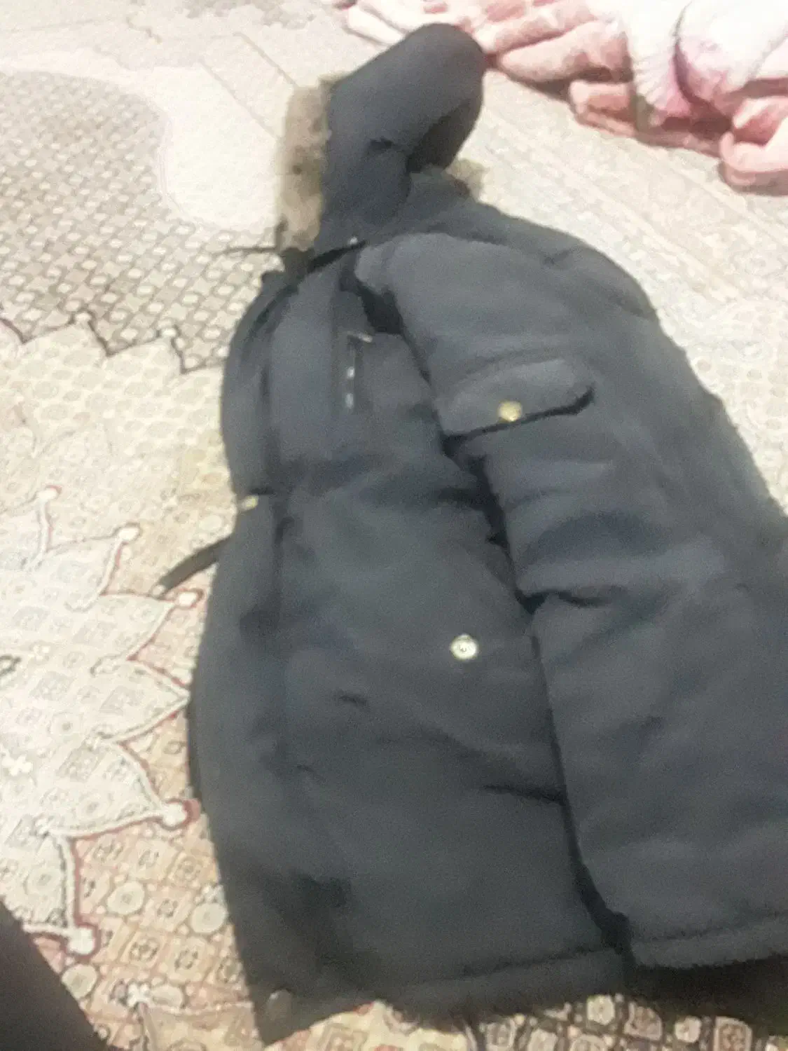 کوت درنوبیدون اریا|لباس|نقده, |دیوار