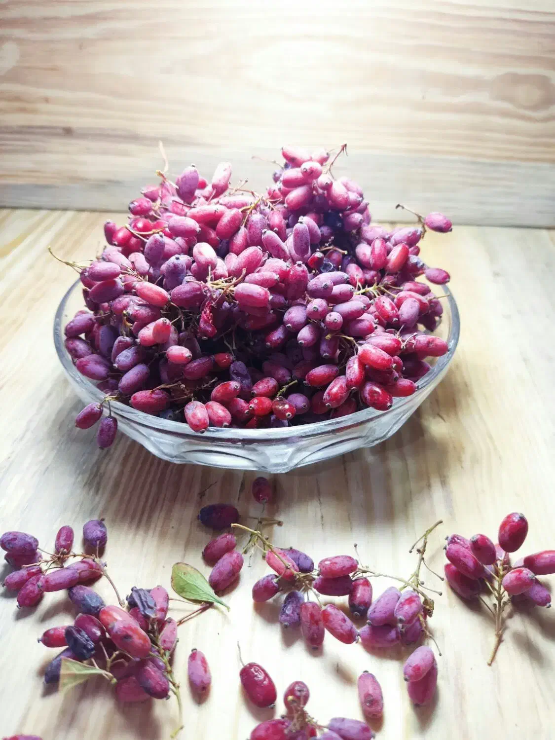 زرشک کوهی|خوردنی و آشامیدنی|شیراز, منطقه هوایی شهید دوران|دیوار