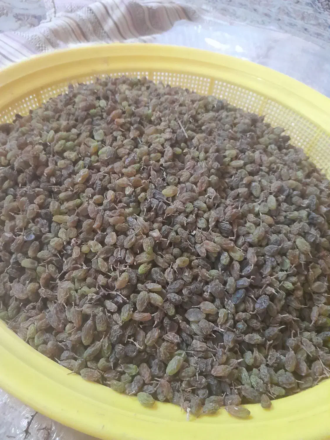 کشمش|خوردنی و آشامیدنی|شاهین‌شهر, نبوت|دیوار