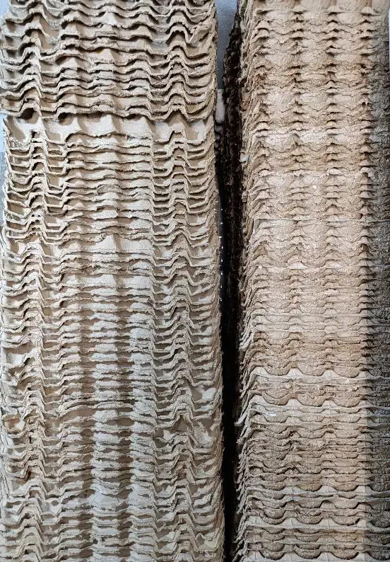 شونه تخم مرغ|عمده‌فروشی|نی‌ریز, |دیوار