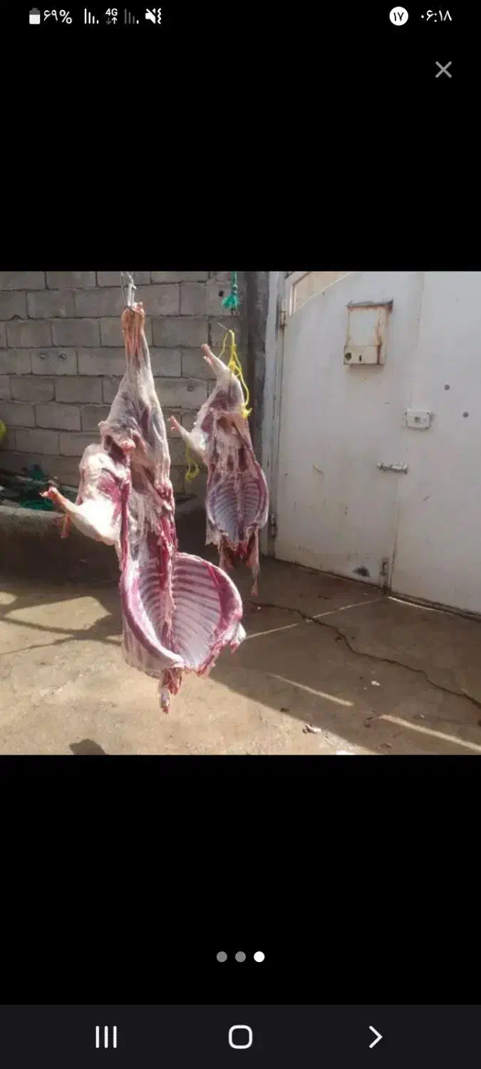 قصاب در محل مراسم عروسی تولد حج سورماشین و...|خدمات پذیرایی، مراسم|آمل, |دیوار