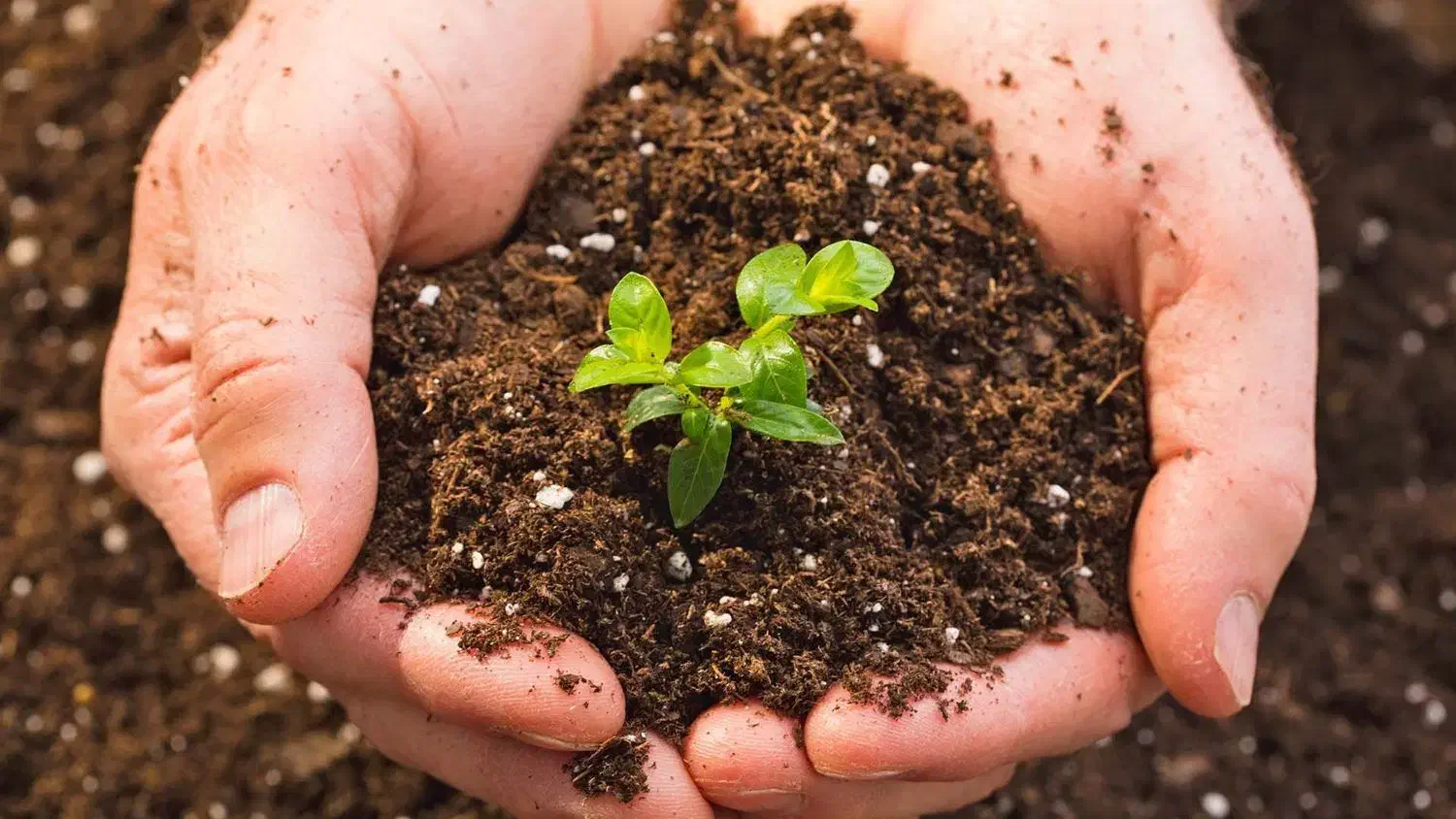 زمین|فروش زمین و ملک کلنگی|یزدان شهر, |دیوار