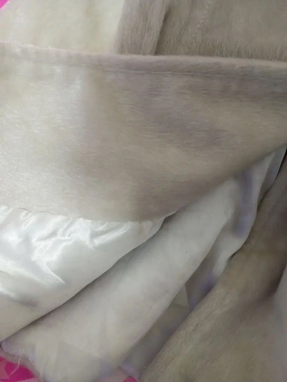 پالتو گرم نو نو 250|حراج|ایلام, |دیوار