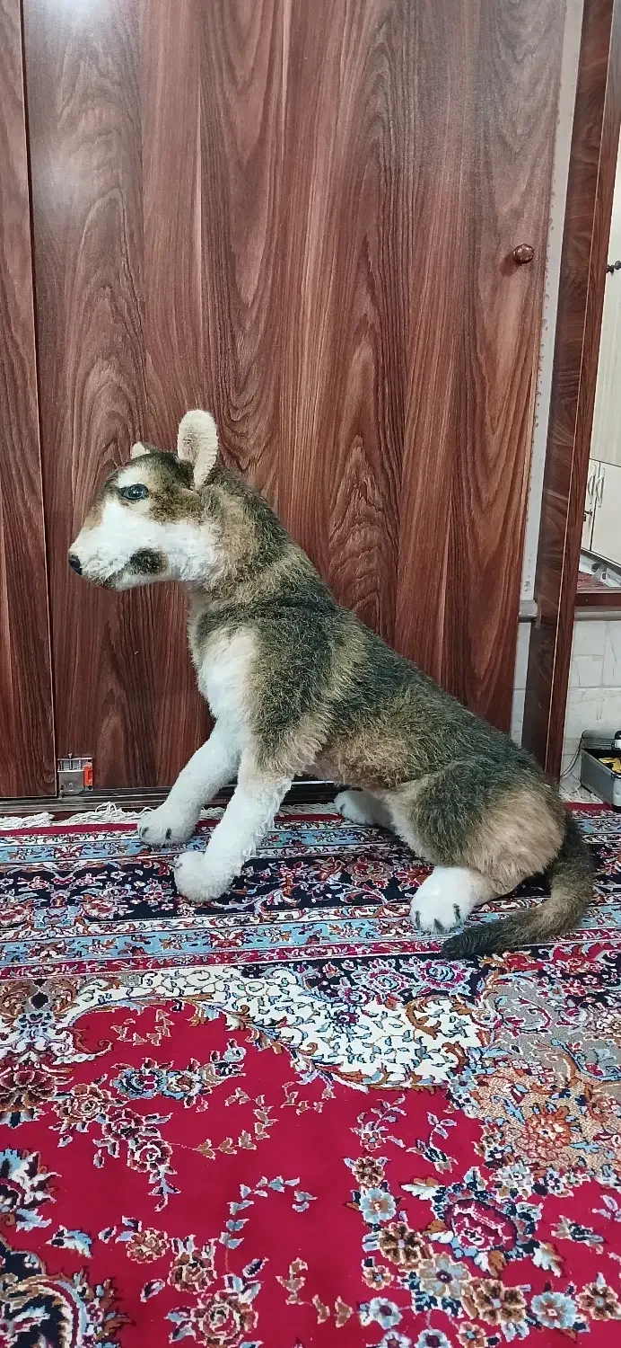 سگ اسباب بازی بزرگ|اسباب‌‌بازی|قم, باغ کرباسی|دیوار